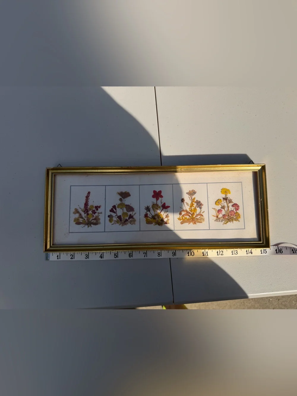 Vintage Pressed Reichlin Switzerland Flower Botanical Framed Wall Art - 15” x 6”